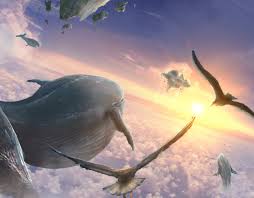 flying whales