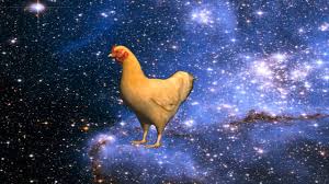 space chicken